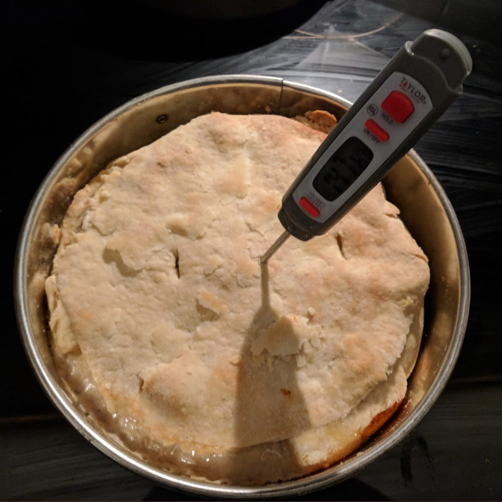 Savory Turkey Meat Pie